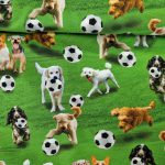 honden voetballen